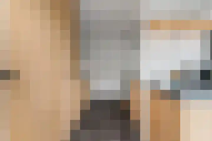 Goudreinet 9 Dodewaard thumbnail 19