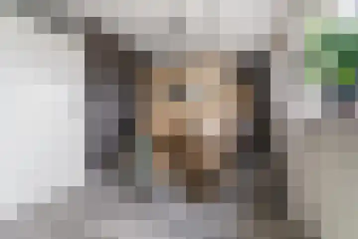Goudreinet 9 Dodewaard thumbnail 30