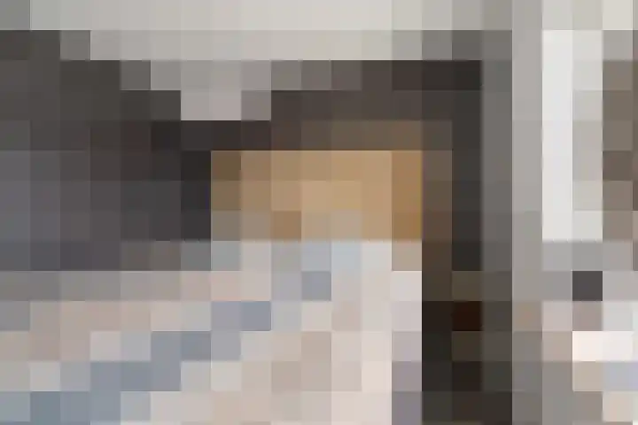Goudreinet 9 Dodewaard thumbnail 31