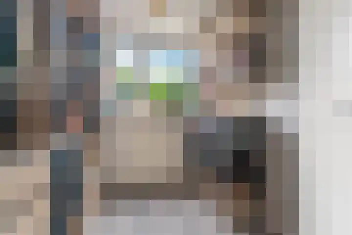 Goudreinet 9 Dodewaard thumbnail 33