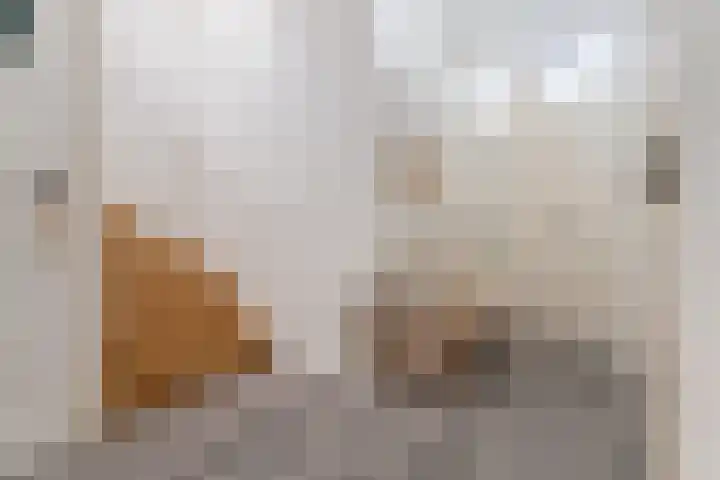 Goudreinet 9 Dodewaard thumbnail 37