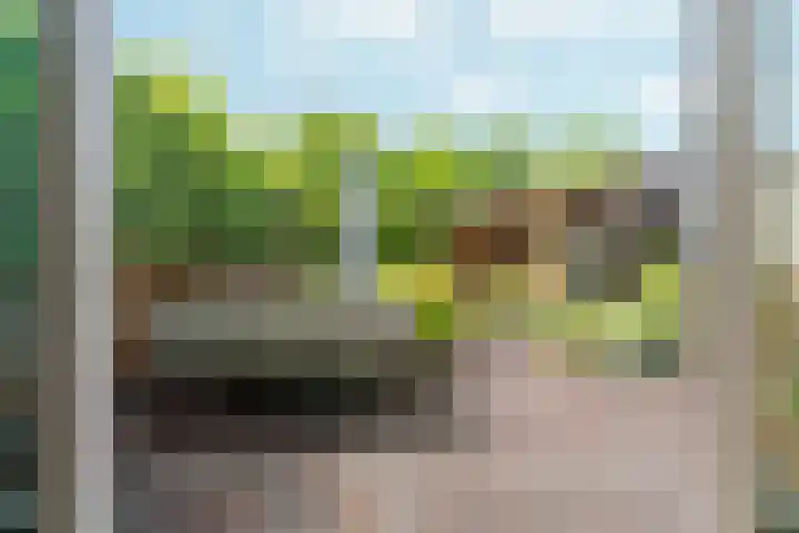 Goudreinet 9 Dodewaard thumbnail 45