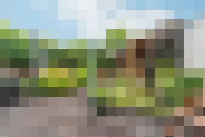 Goudreinet 9 Dodewaard thumbnail 46