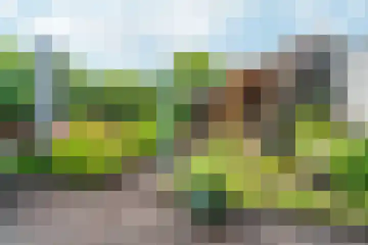 Goudreinet 9 Dodewaard thumbnail 47