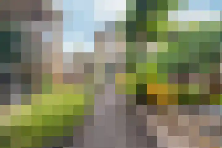 Goudreinet 9 Dodewaard thumbnail 53