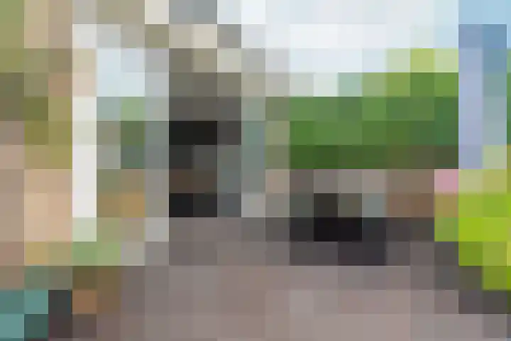 Goudreinet 9 Dodewaard thumbnail 54