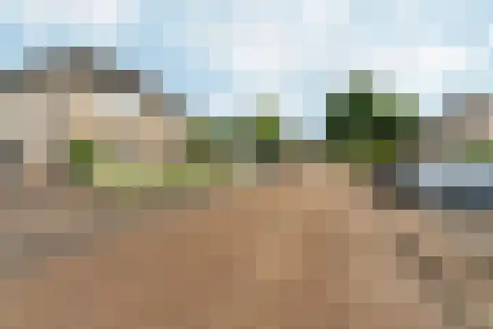 Goudreinet 9 Dodewaard thumbnail 58