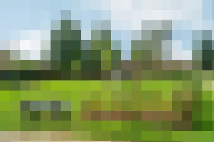 Goudreinet 9 Dodewaard thumbnail 62