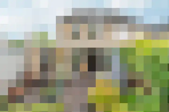 Goudreinet 9 Dodewaard thumbnail 63