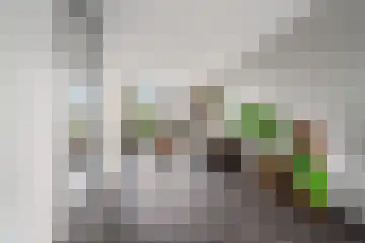 Goudreinet 9 Dodewaard thumbnail 9