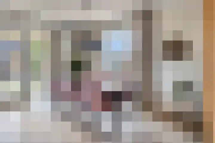 Goudreinette 4 Lith thumbnail 14
