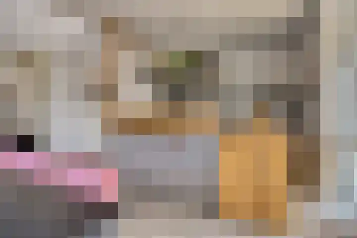 Goudreinette 4 Lith thumbnail 18