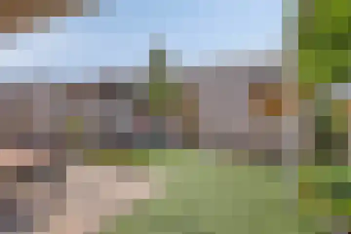 Goudreinette 4 Lith thumbnail 20