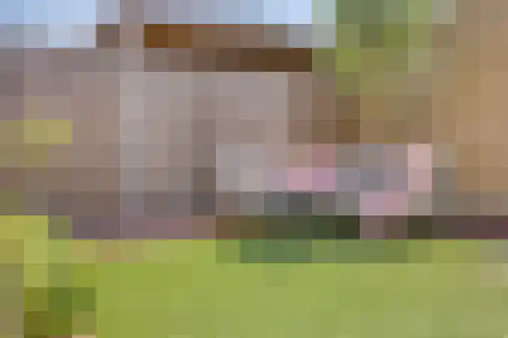 Goudreinette 4 Lith thumbnail 21