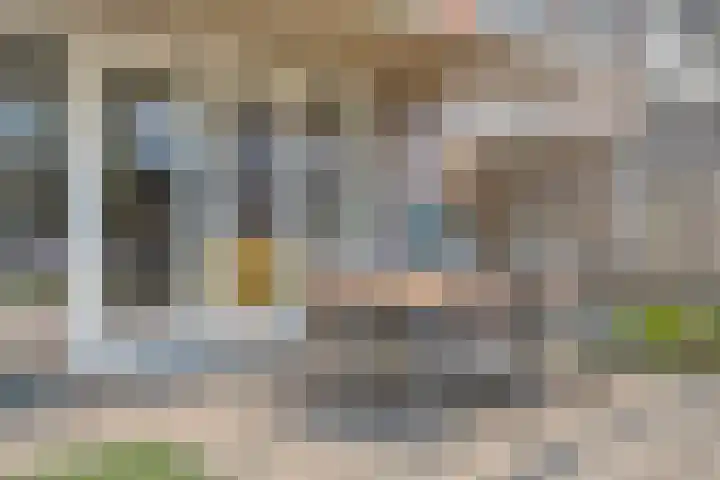 Goudreinette 4 Lith thumbnail 22