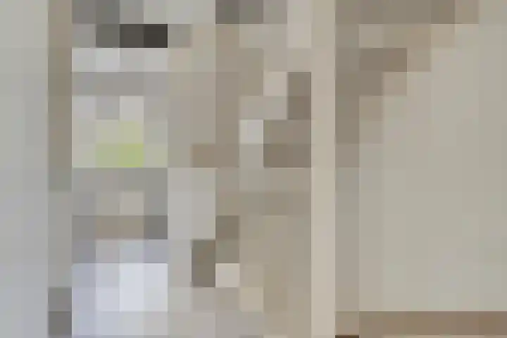 Goudreinette 4 Lith thumbnail 24