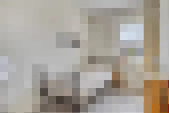 Goudreinette 4 Lith thumbnail 31