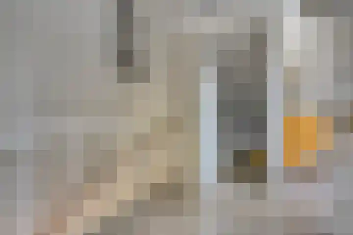 Goudreinette 4 Lith thumbnail 32