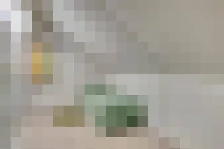 Goudreinette 4 Lith thumbnail 34
