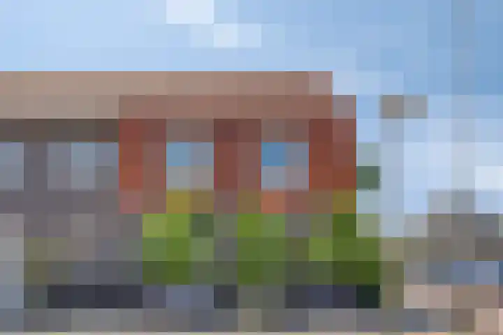 Goudreinette 4 Lith thumbnail 37