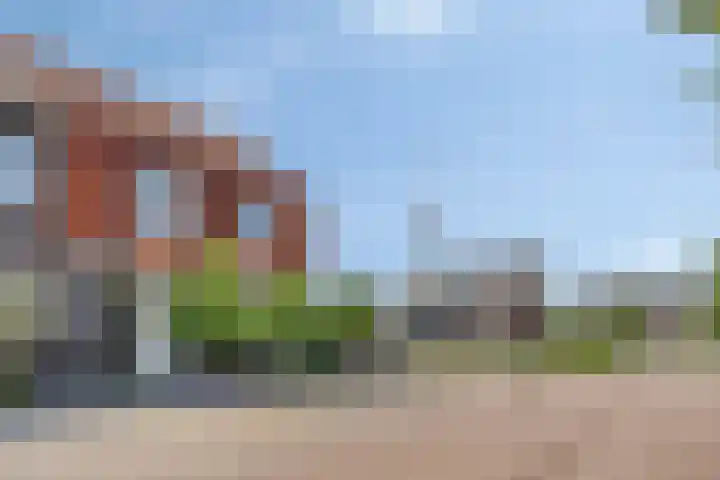 Goudreinette 4 Lith thumbnail 38