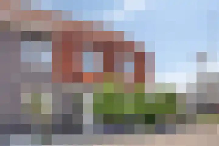 Goudreinette 4 Lith thumbnail 5