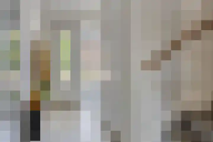 Goudreinette 4 Lith thumbnail 6