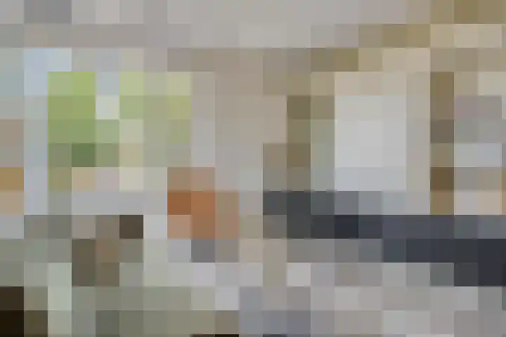 Goudreinette 4 Lith thumbnail 9