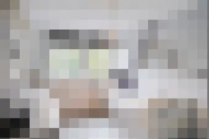 Goudrenet 24 Uden thumbnail 16