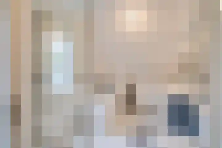 Goudrenet 24 Uden thumbnail 18