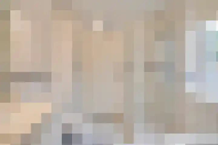 Goudrenet 24 Uden thumbnail 19