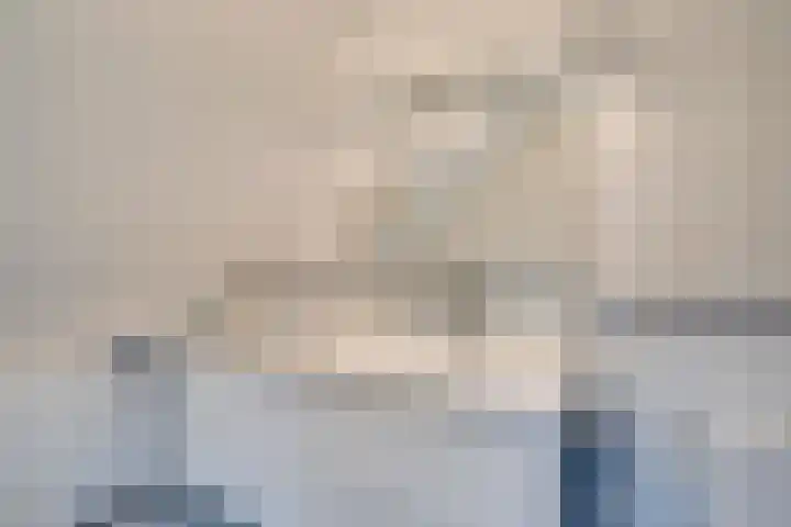 Goudrenet 24 Uden thumbnail 20