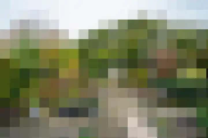Goudrenet 24 Uden thumbnail 23