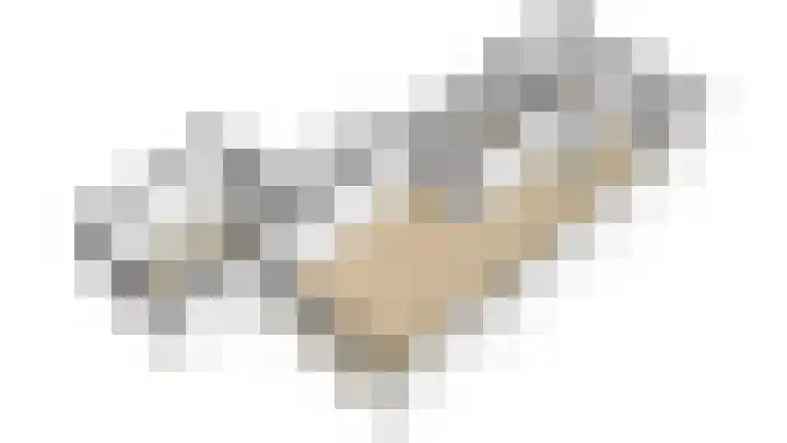 Goudrenet 24 Uden thumbnail 27