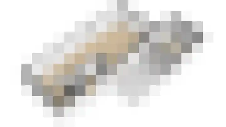 Goudrenet 24 Uden thumbnail 28