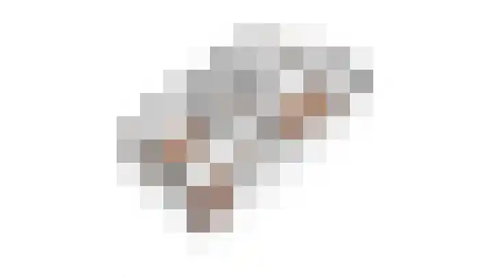 Goudrenet 24 Uden thumbnail 30