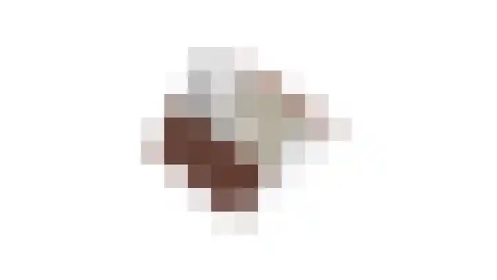 Goudrenet 24 Uden thumbnail 33