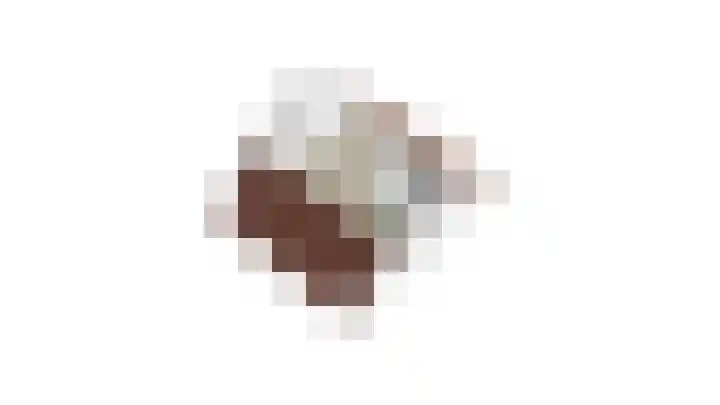Goudrenet 24 Uden thumbnail 34
