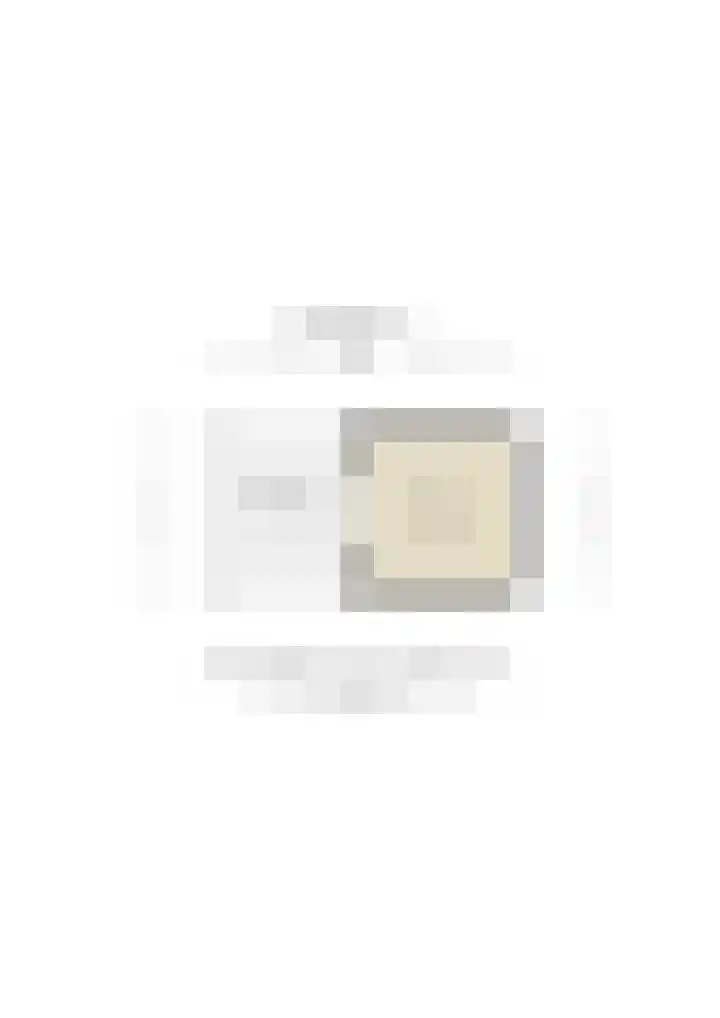 Goudrenet 24 Uden thumbnail 35
