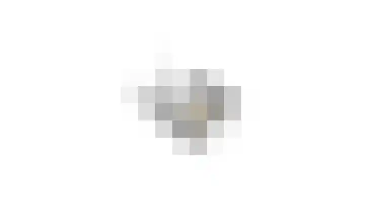 Goudrenet 24 Uden thumbnail 37