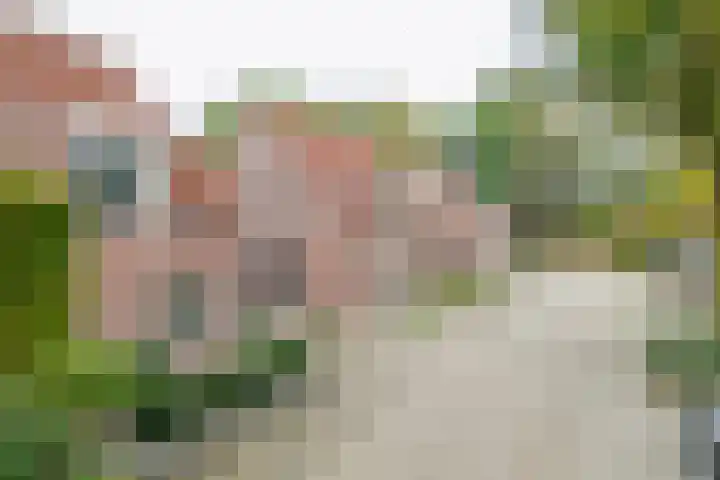 Goudrenet 24 Uden thumbnail 4