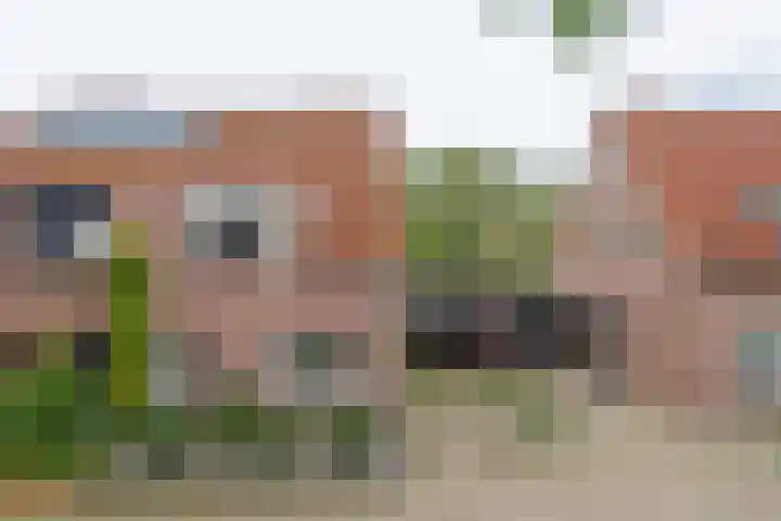 Goudrenet 24 Uden thumbnail 5
