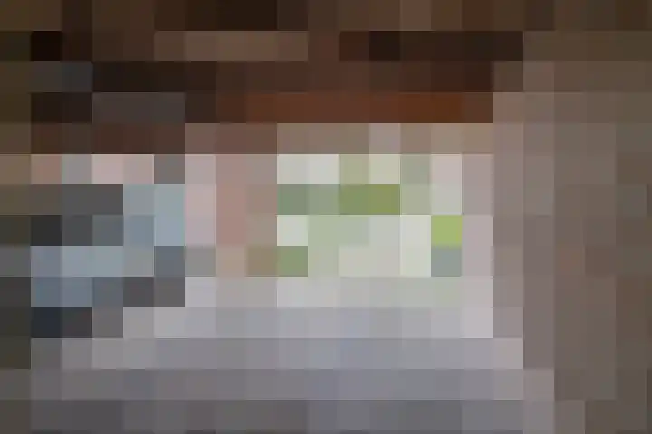 Goudrenet 24 Uden thumbnail 7
