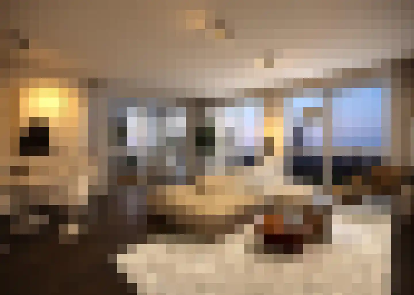 Goudsesingel 14 Rotterdam thumbnail 11