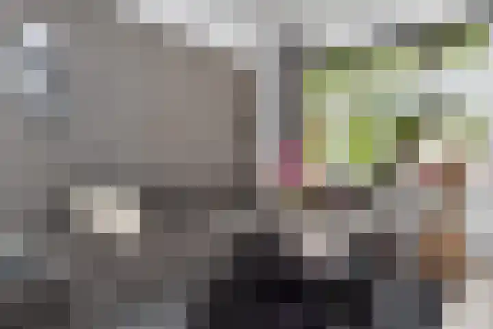 Goudsesingel 358 Rotterdam thumbnail 16