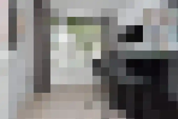 Goudsesingel 358 Rotterdam thumbnail 19
