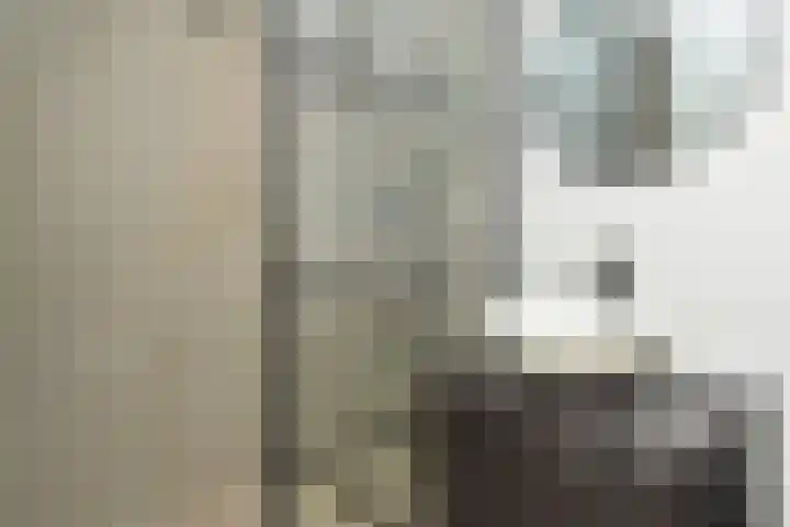 Goudsesingel 358 Rotterdam thumbnail 4