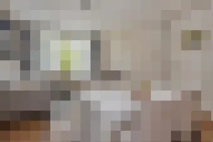 Goudsesingel 366 Rotterdam thumbnail 18