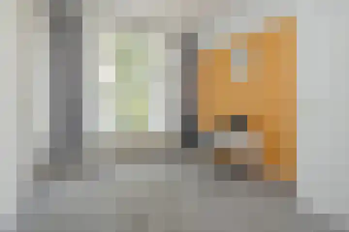 Goudsesingel 366 Rotterdam thumbnail 27
