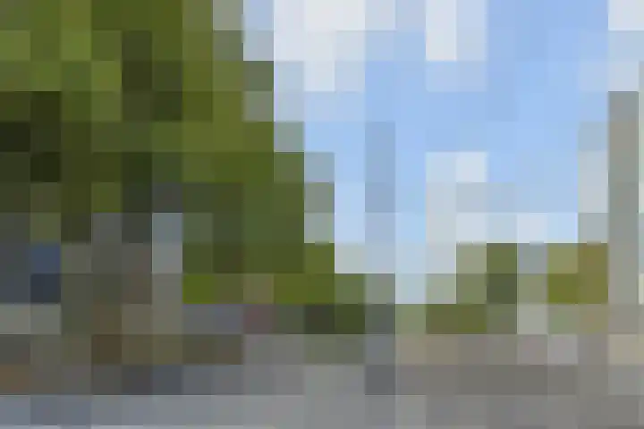 Goudsesingel 366 Rotterdam thumbnail 32